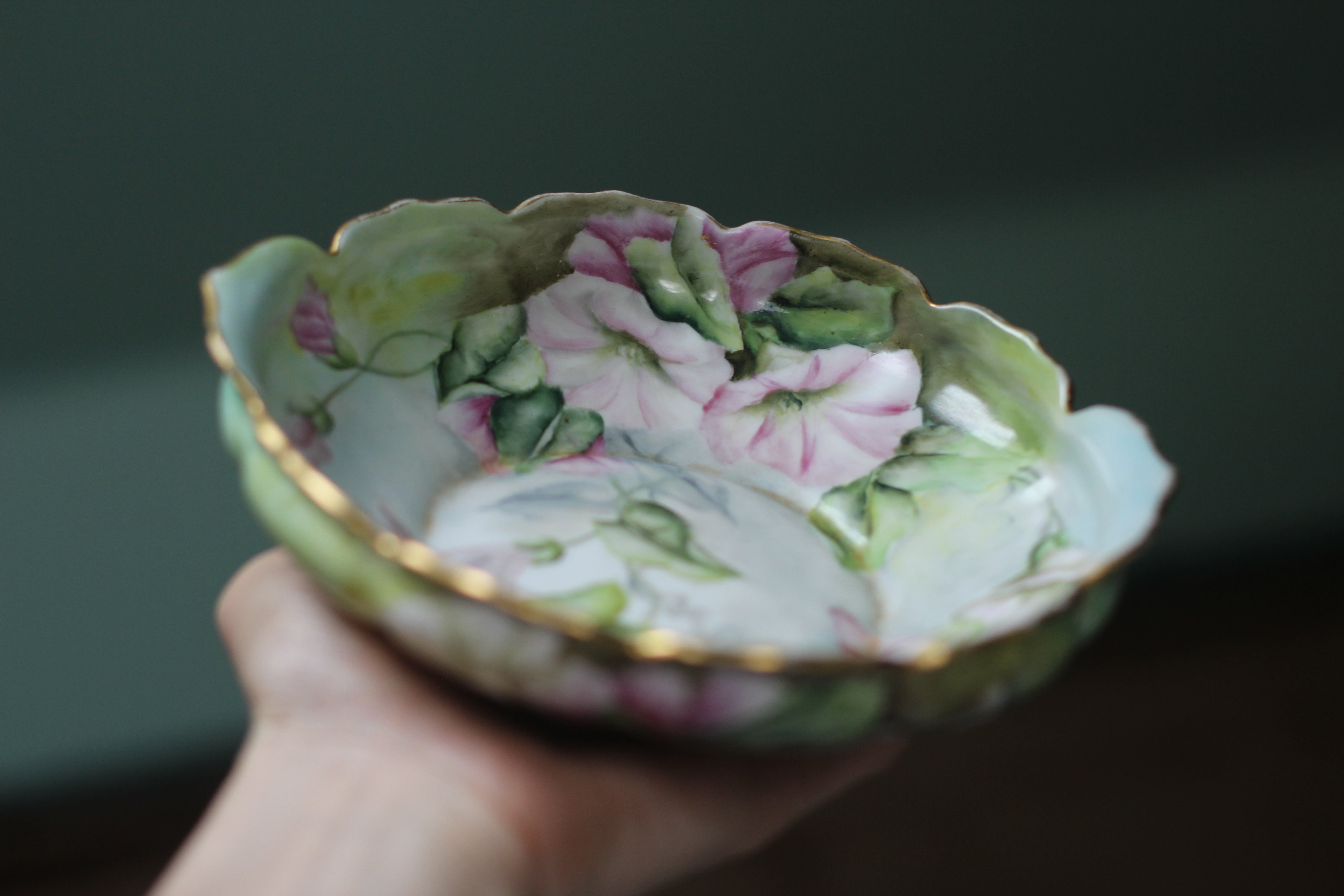 Vintage Floral Ipomoea Porcelain Plate