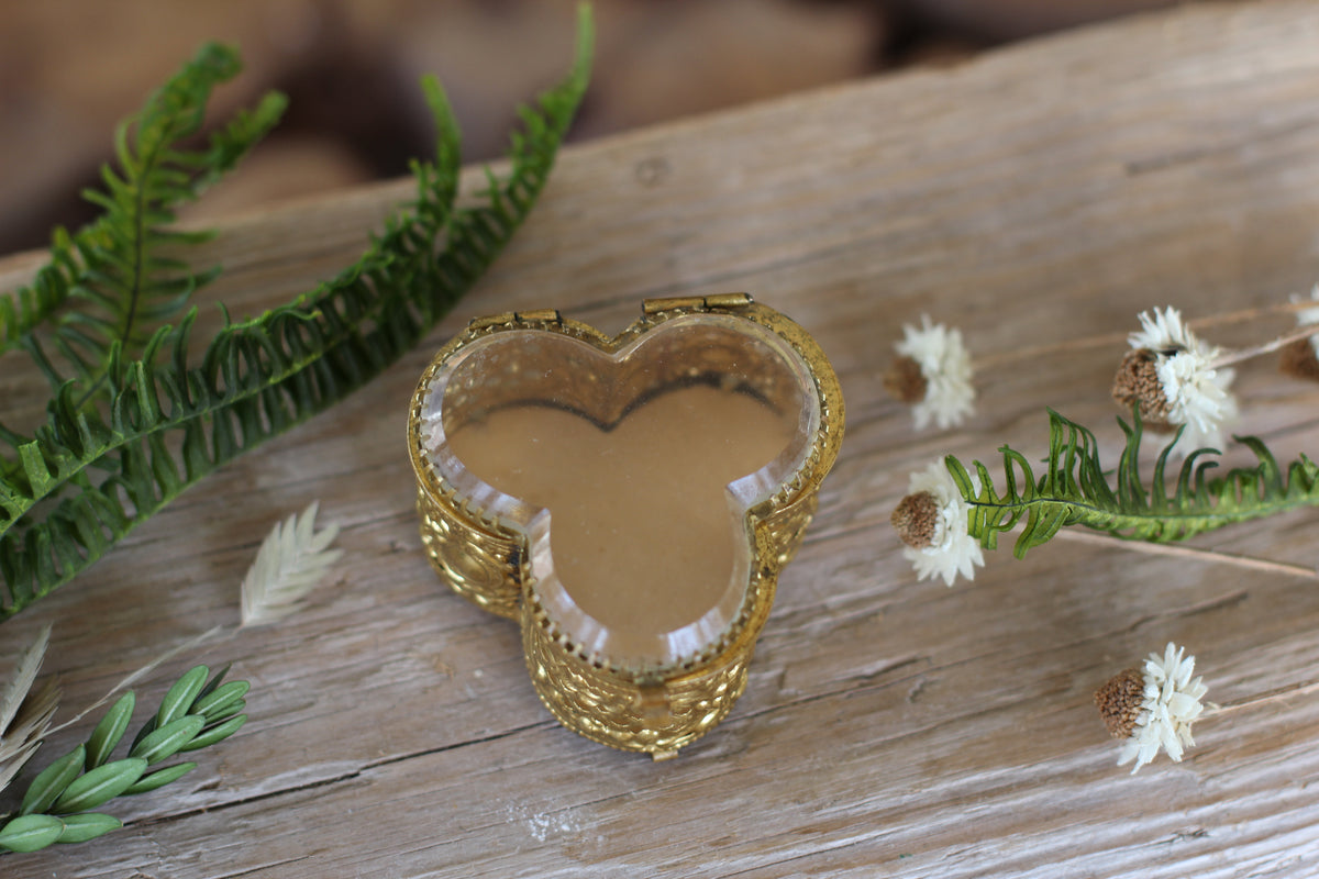 Antique Miniature Clover Jewelry Box – Avigail Adam