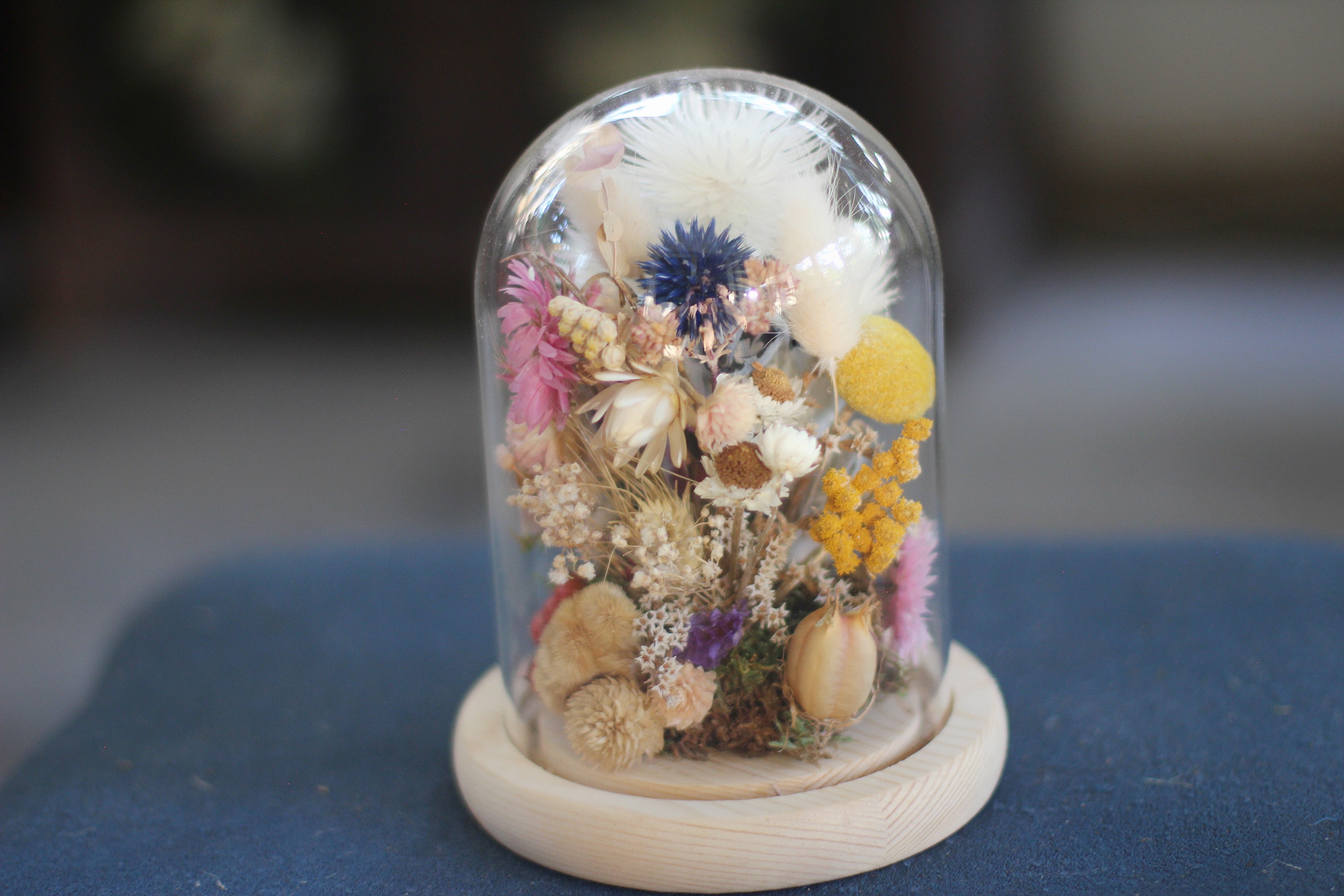 Medium Dried Flowers Glass Dome / Cloche