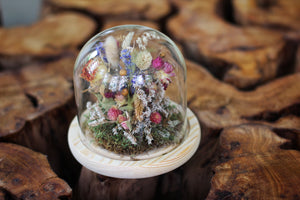 Medium Dried Flowers Glass Dome / Cloche