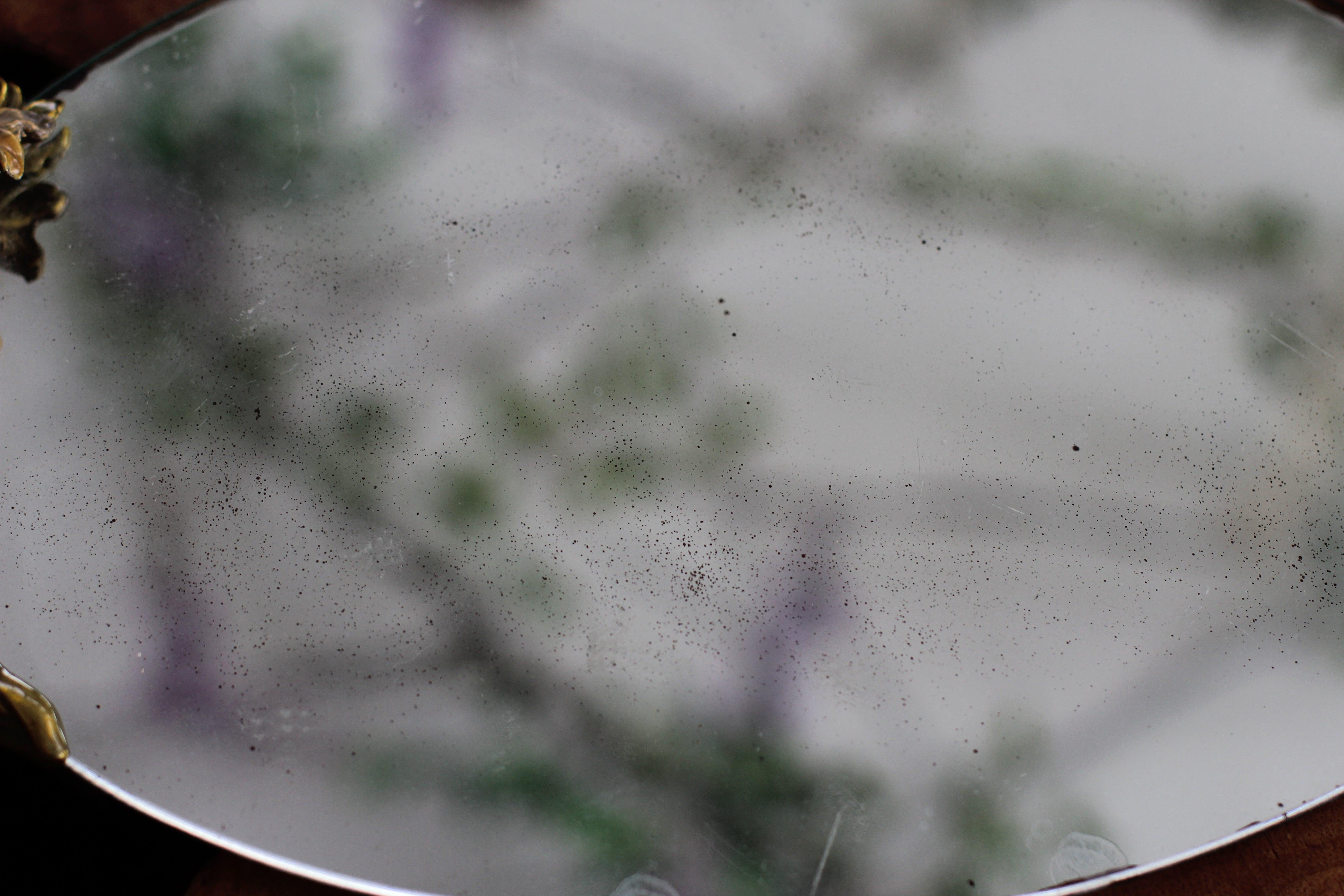 Antique Floral Enamel Mirror Tray