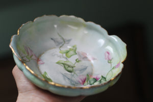 Vintage Floral Ipomoea Porcelain Plate