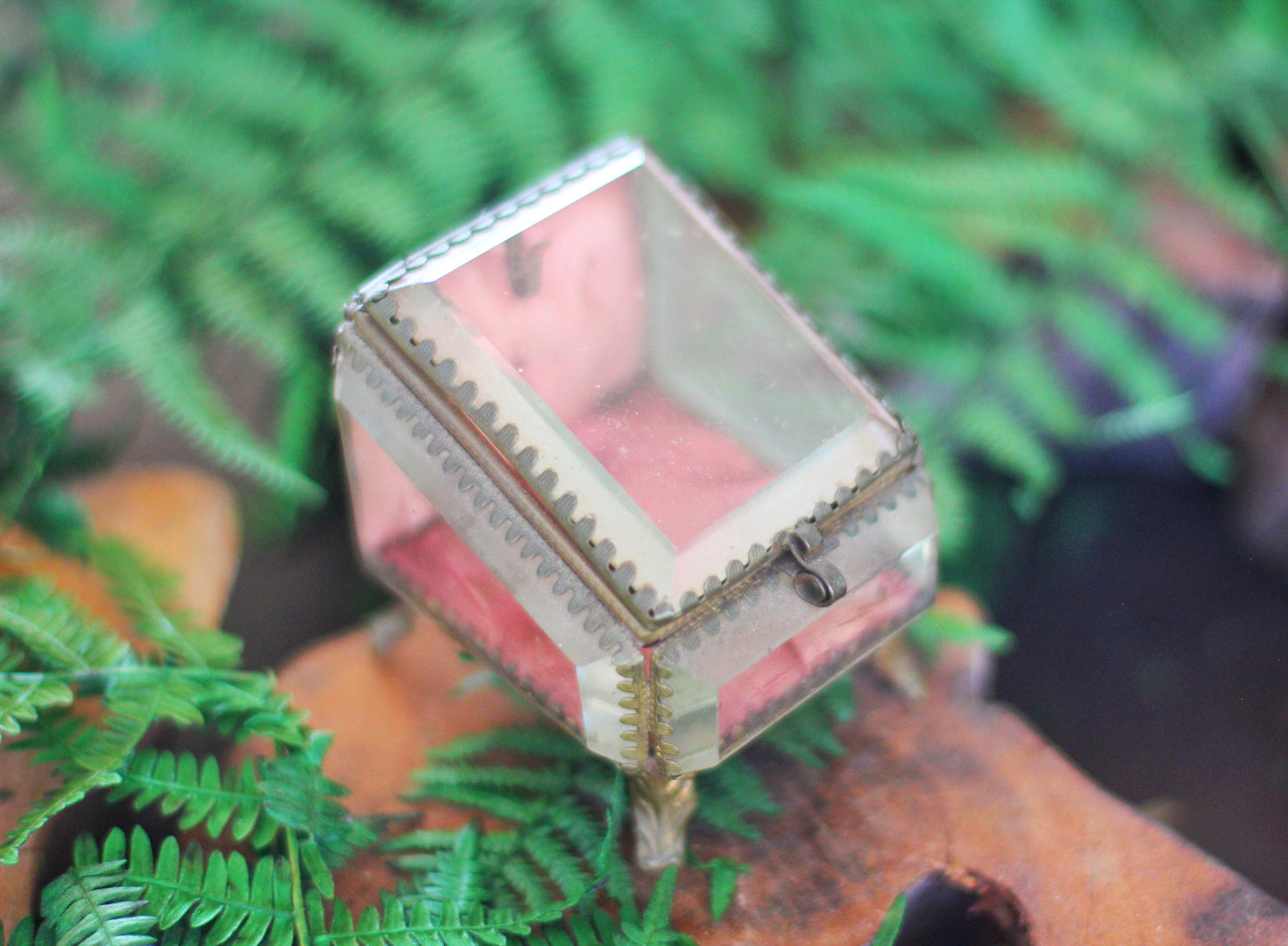 Antique French Watch Case Tufted Glass Jewelry Box