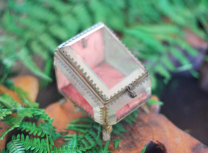 Antique French Watch Case Tufted Glass Jewelry Box