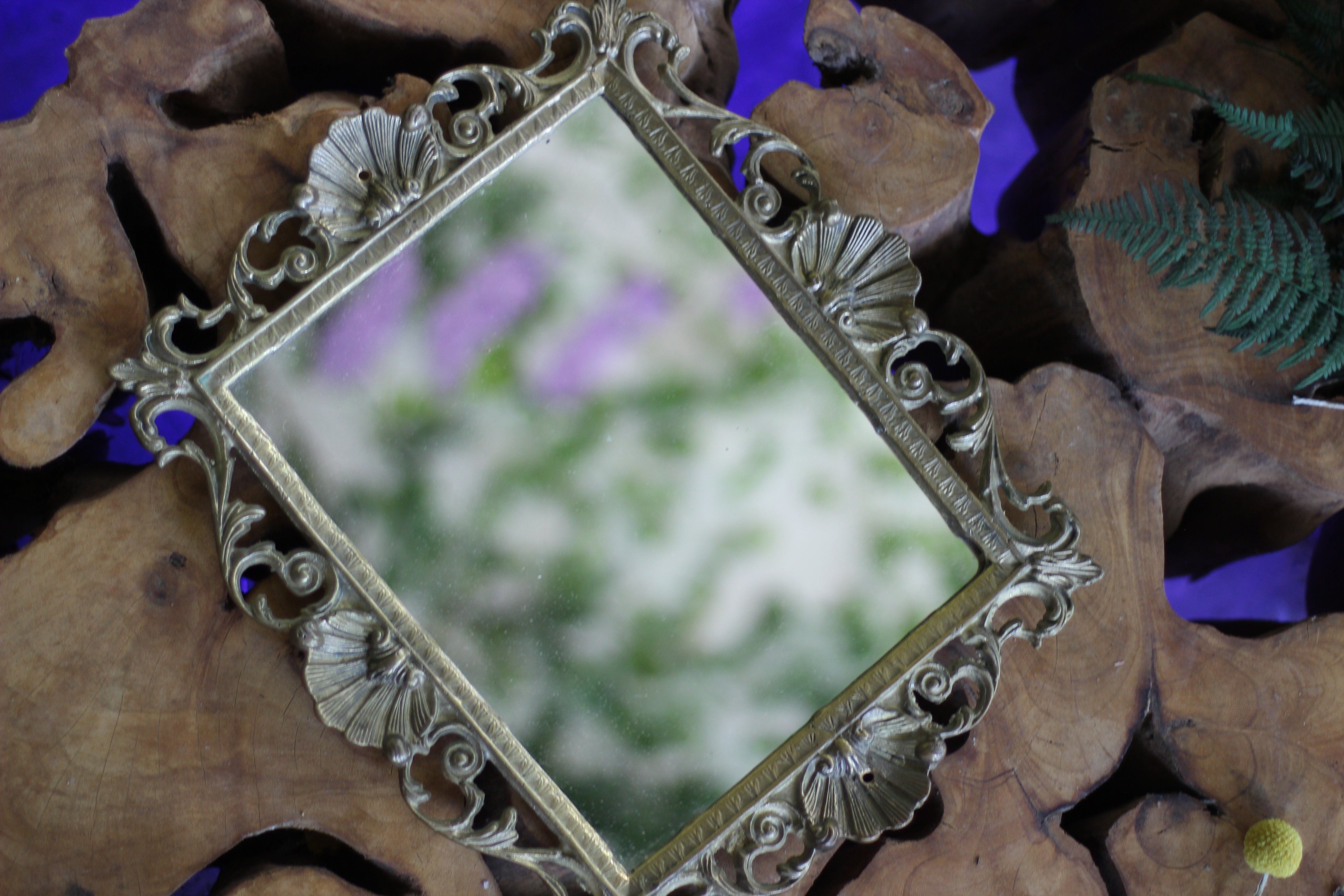 Antique Seashells Rectangle Mirror Tray