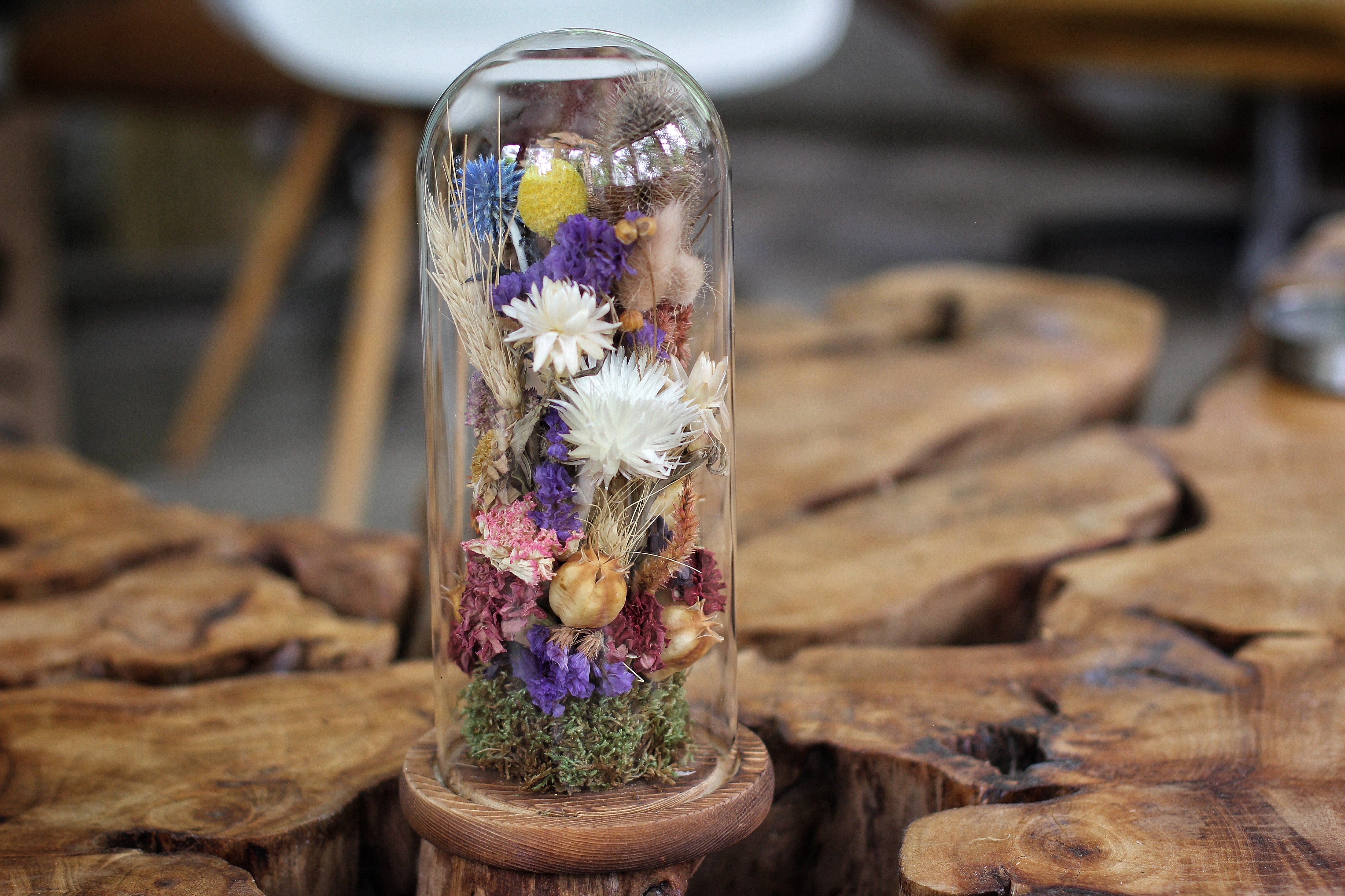 Tall Large Dried Flowers Glass Dome / Cloche