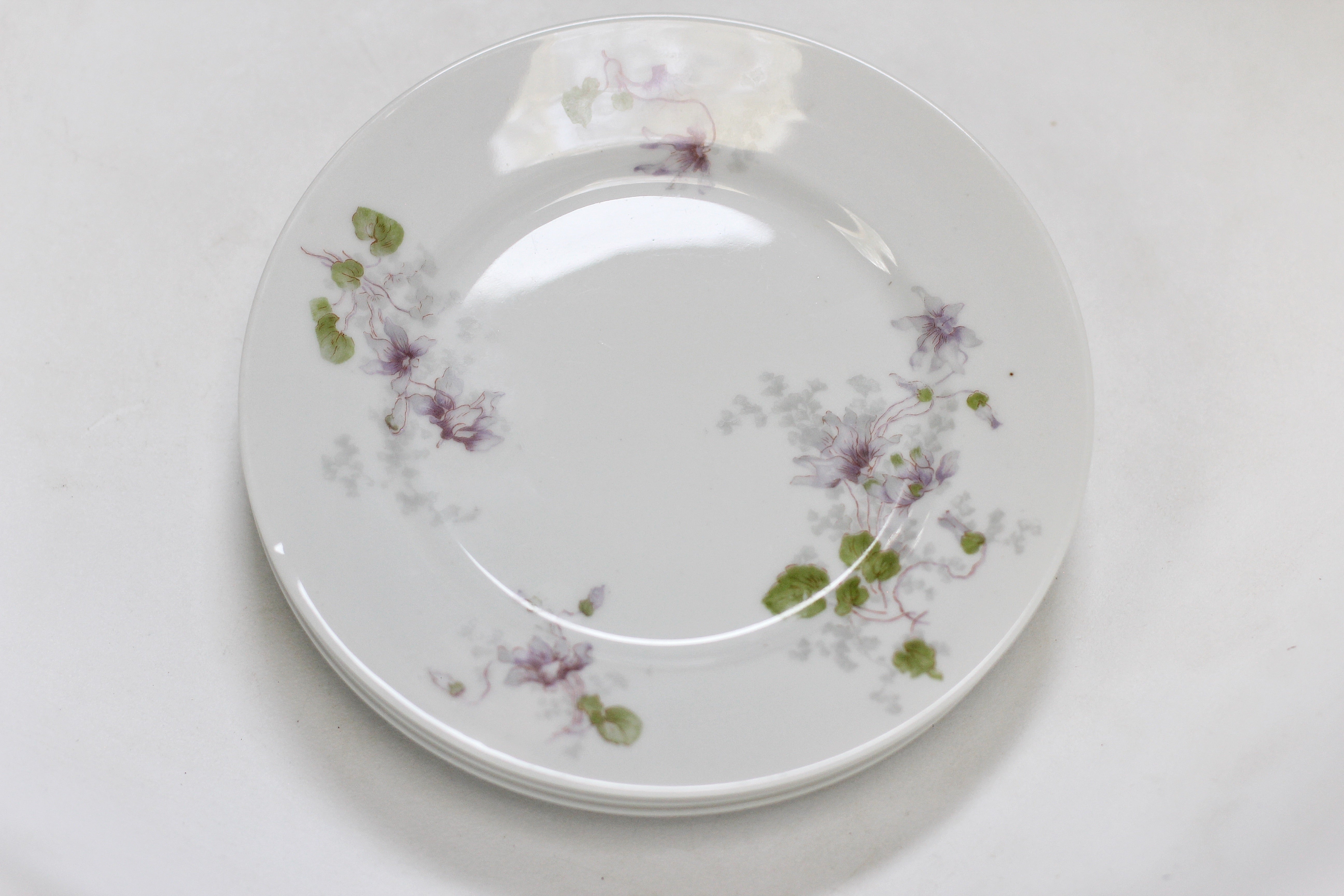 Limoges WroGeurin Floral Violets Porcelain Desert Plate Set