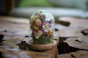 Medium / Small Dried Flowers Glass Dome / Cloche