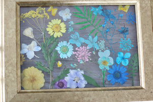 Pressed Flowers Framed Collage