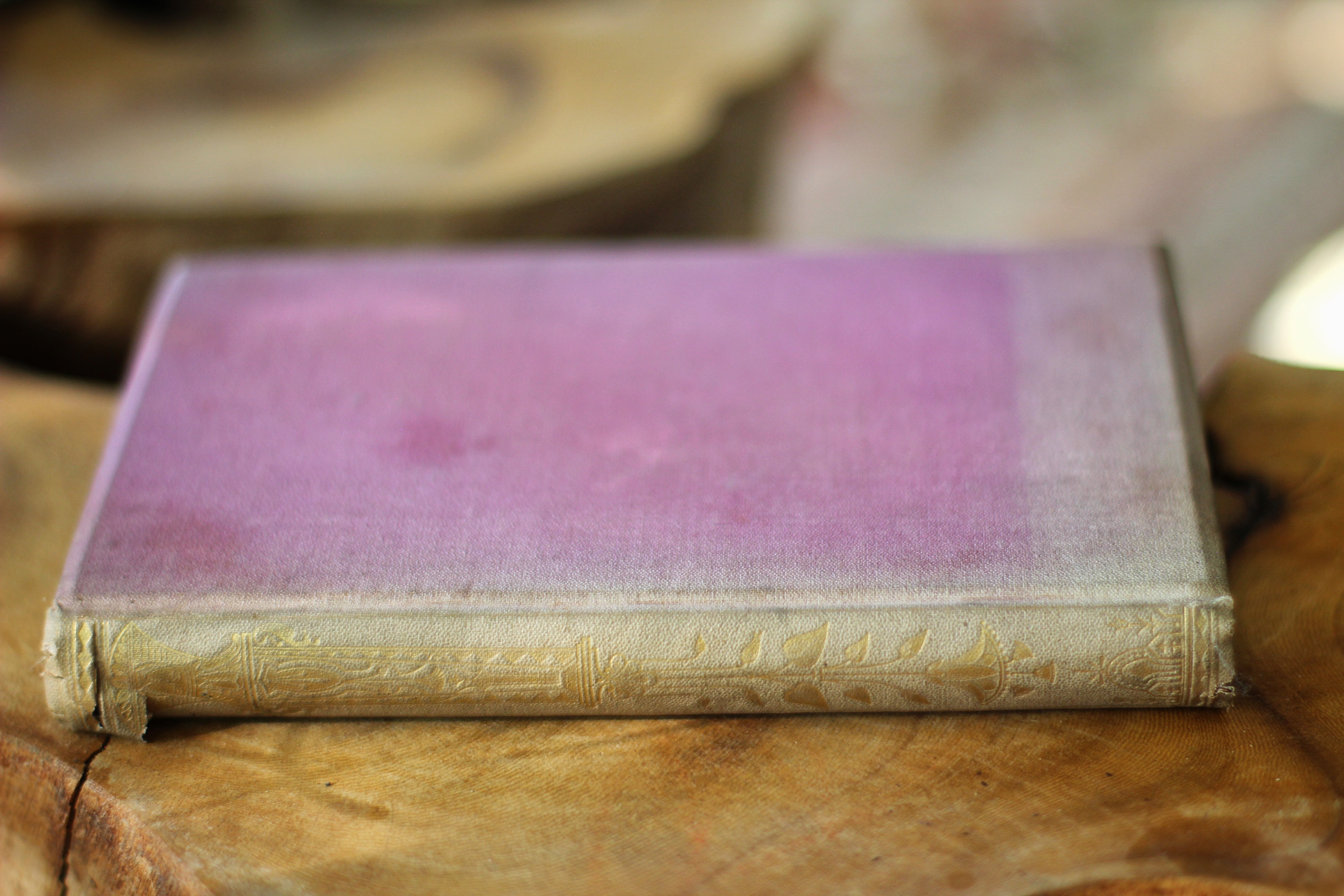 Antique Victorian Pink Book - The Ethics of the Dust By John Ruskin | 1866