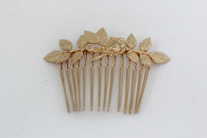 Rose Comb