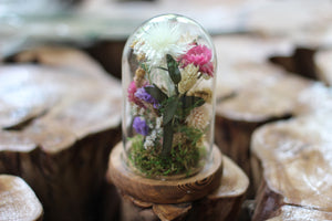 Small Dried Flowers Glass Dome / Cloche