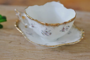 Antique Floral Carlsbad Victoria Austria Tea Cup Set