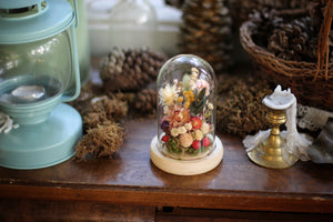 Small Dried Flowers Glass Dome / Cloche