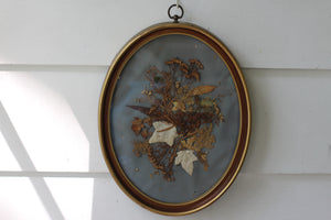 Vintage Oval Pressed Flowers Large Framed Collage