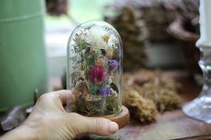 Small Dried Flowers Glass Dome / Cloche