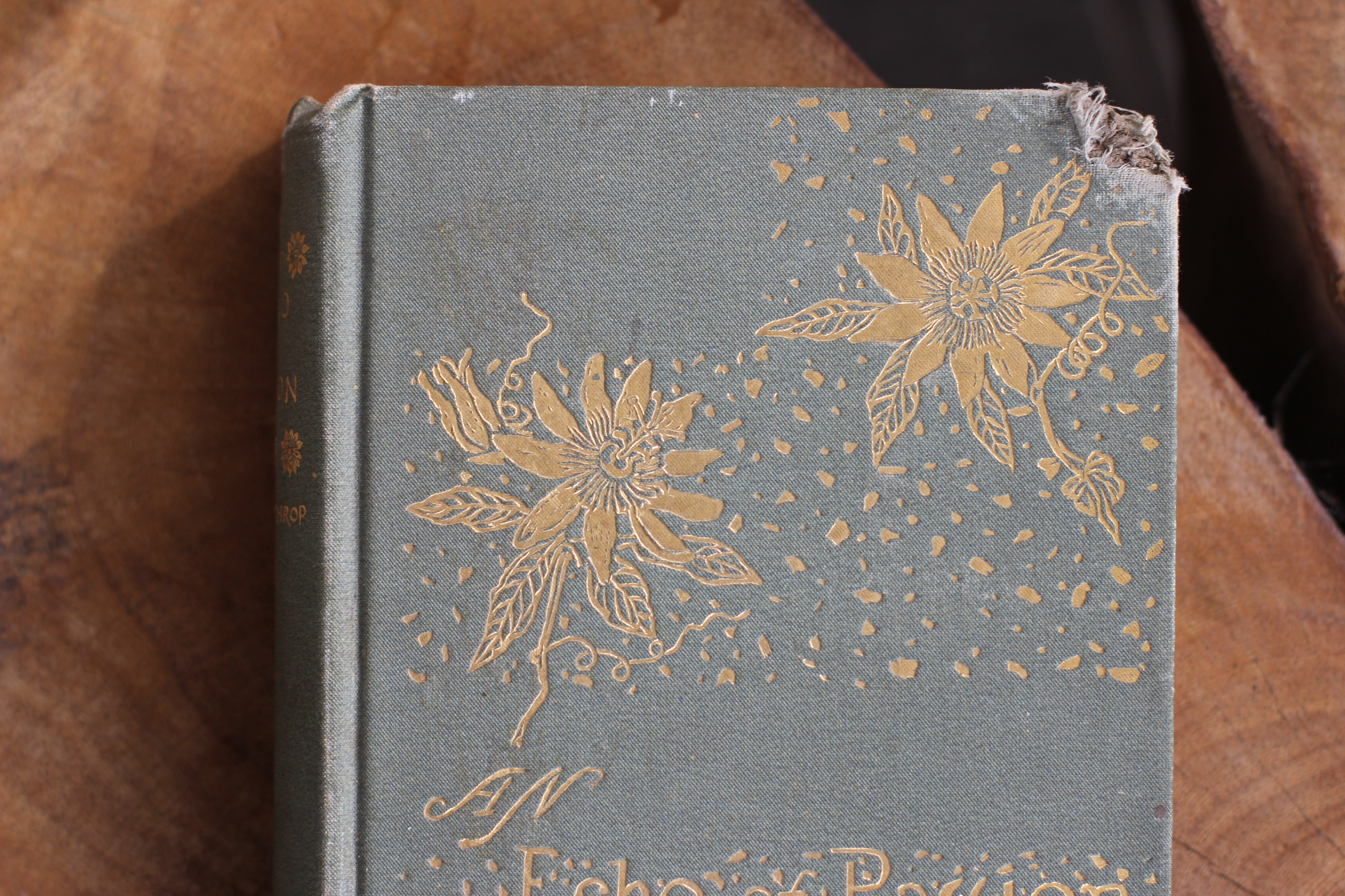 Antique Book: 1882 First Editin Book: An Echo Of Passion By George P. Lathrop, Boston HC. Hardback.