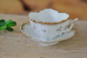 Antique Floral Carlsbad Victoria Austria Tea Cup Set