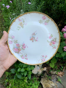 Vintage Roses French Porcelain Dish