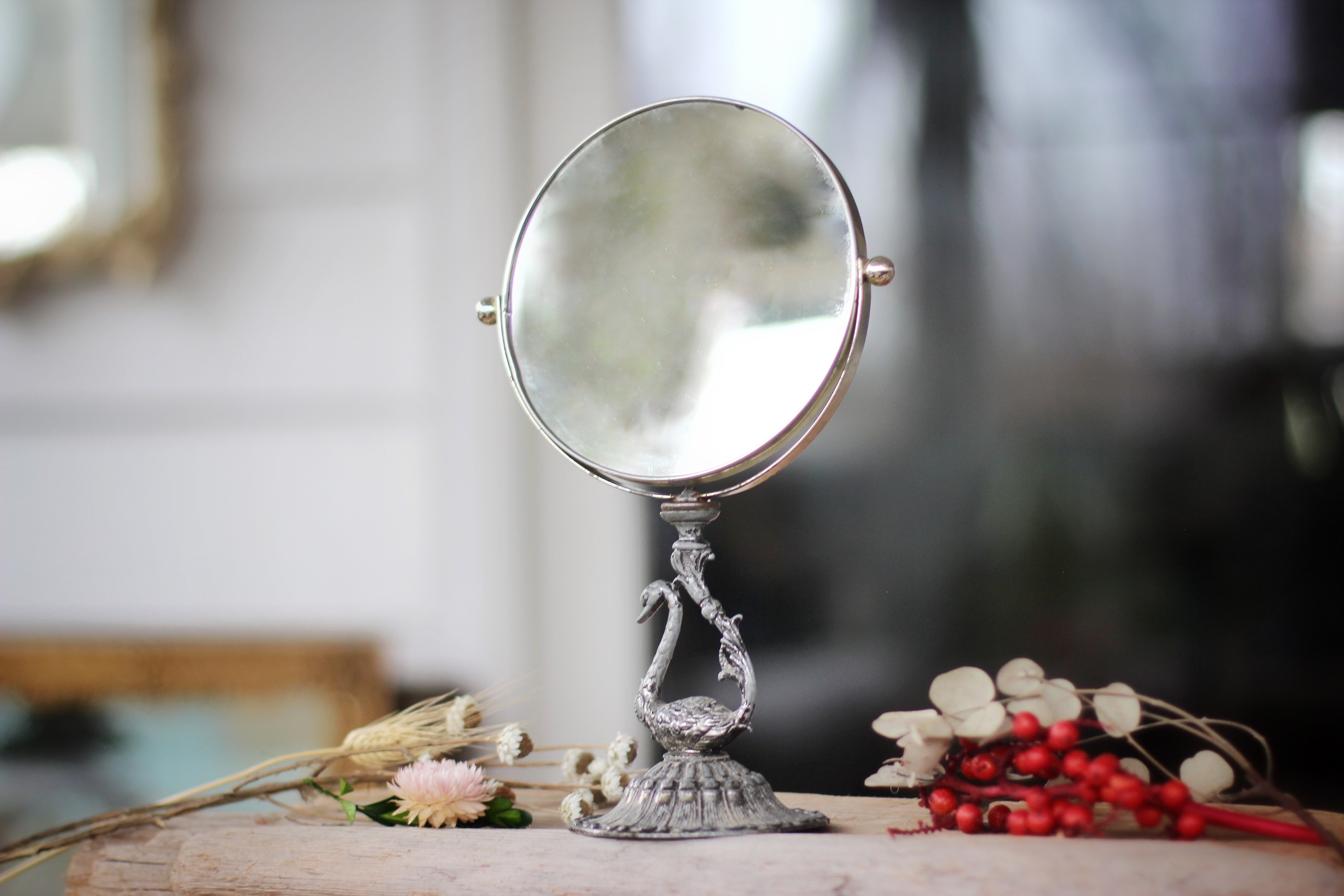Vintage Silver Bird Vanity Pedestal Mirror on Base 2 Sided Magnifier
