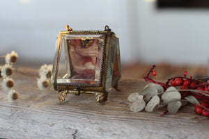 Antique French Victorian Watch display case