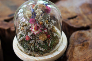 Medium Dried Flowers Glass Dome / Cloche