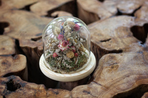 Medium Dried Flowers Glass Dome / Cloche