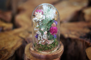 Small Dried Flowers Glass Dome / Cloche