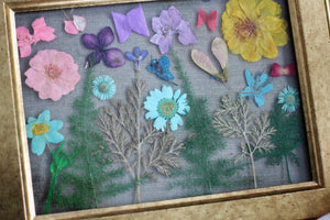 Pressed Flowers Framed Collage