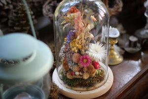 Large Dried Flowers Glass Dome / Cloche