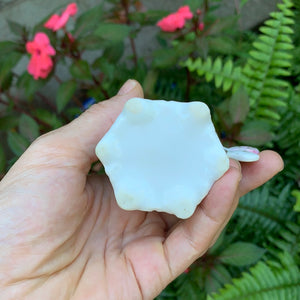 Antique Butterfly Porcelain Tea Cup
