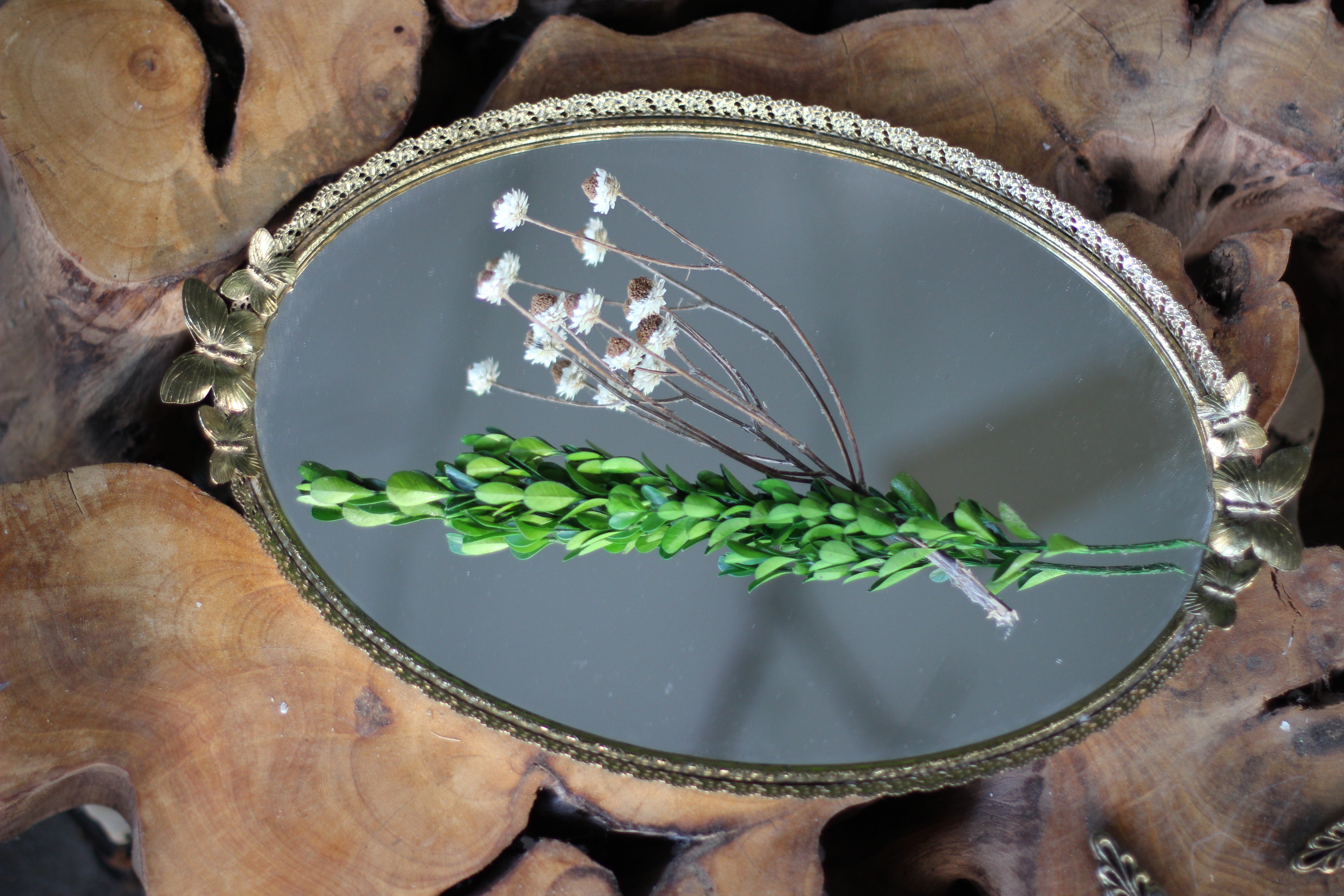 Antique Rare Butterfly Mirror Tray