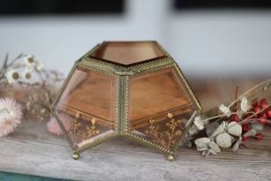 Amber Tinted French Victorian Rare Jewelry Box - Reserved