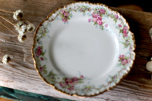 Vintage Limoges France Roses Porcelain Desert Plate