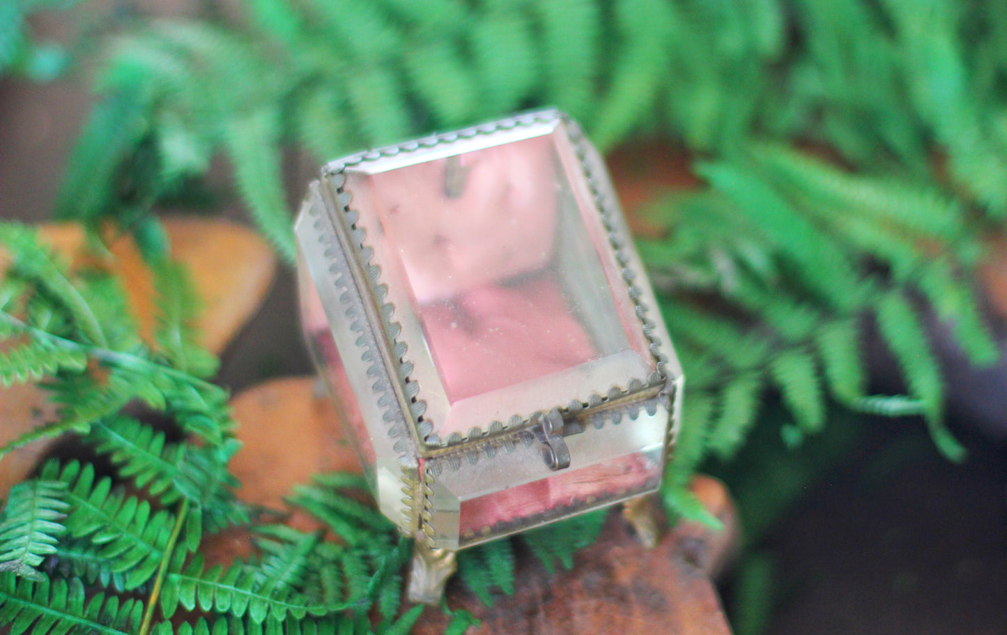Antique French Watch Case Tufted Glass Jewelry Box
