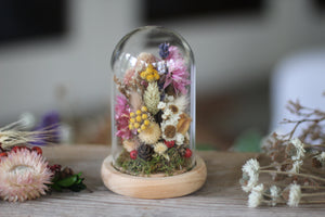 Small Dried Flowers Glass Dome / Cloche