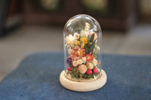 Small Dried Flowers Glass Dome / Cloche