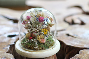 Medium Dried Flowers Glass Dome / Cloche