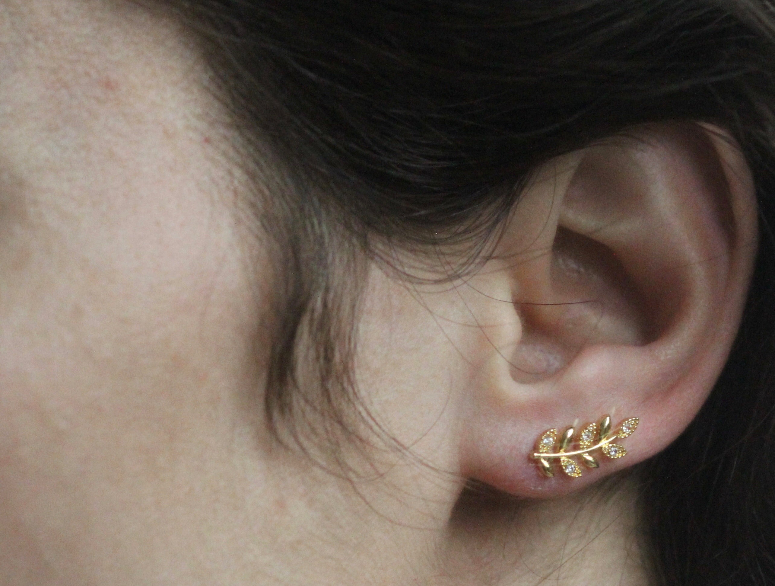 Twigs Crystals Ear Climbers