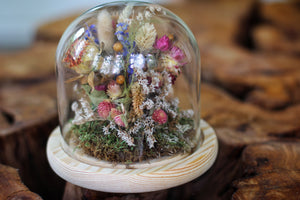 Medium Dried Flowers Glass Dome / Cloche