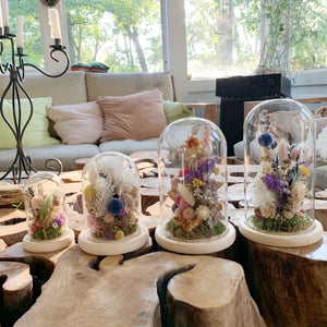 Small Dried Flowers Glass Dome / Cloche
