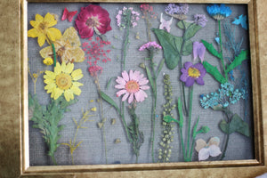 Pressed Flowers Framed Collage