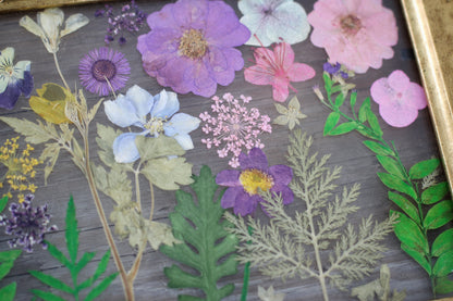 Pressed Flowers Framed Collage
