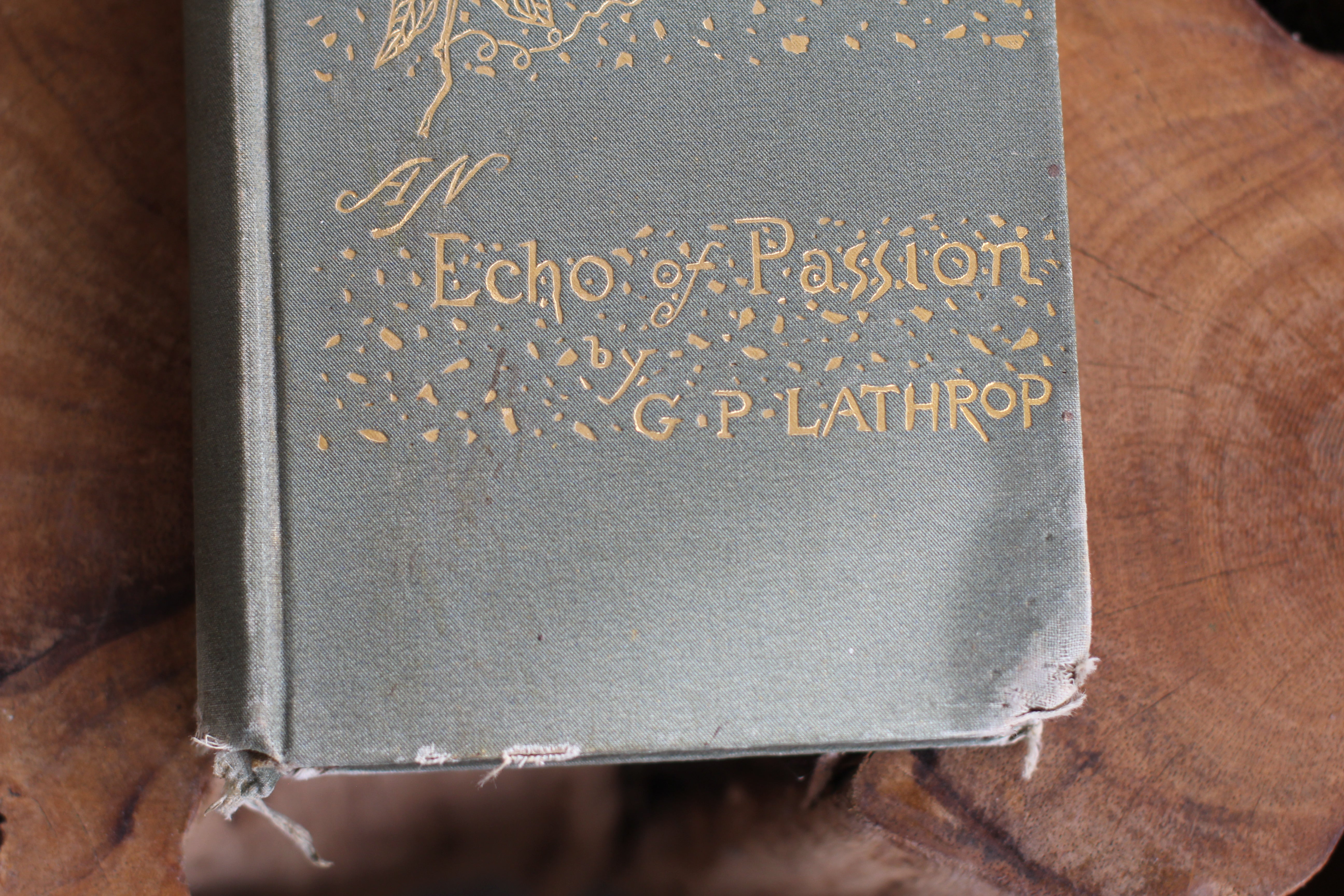 Antique Book: 1882 First Editin Book: An Echo Of Passion By George P. Lathrop, Boston HC. Hardback.