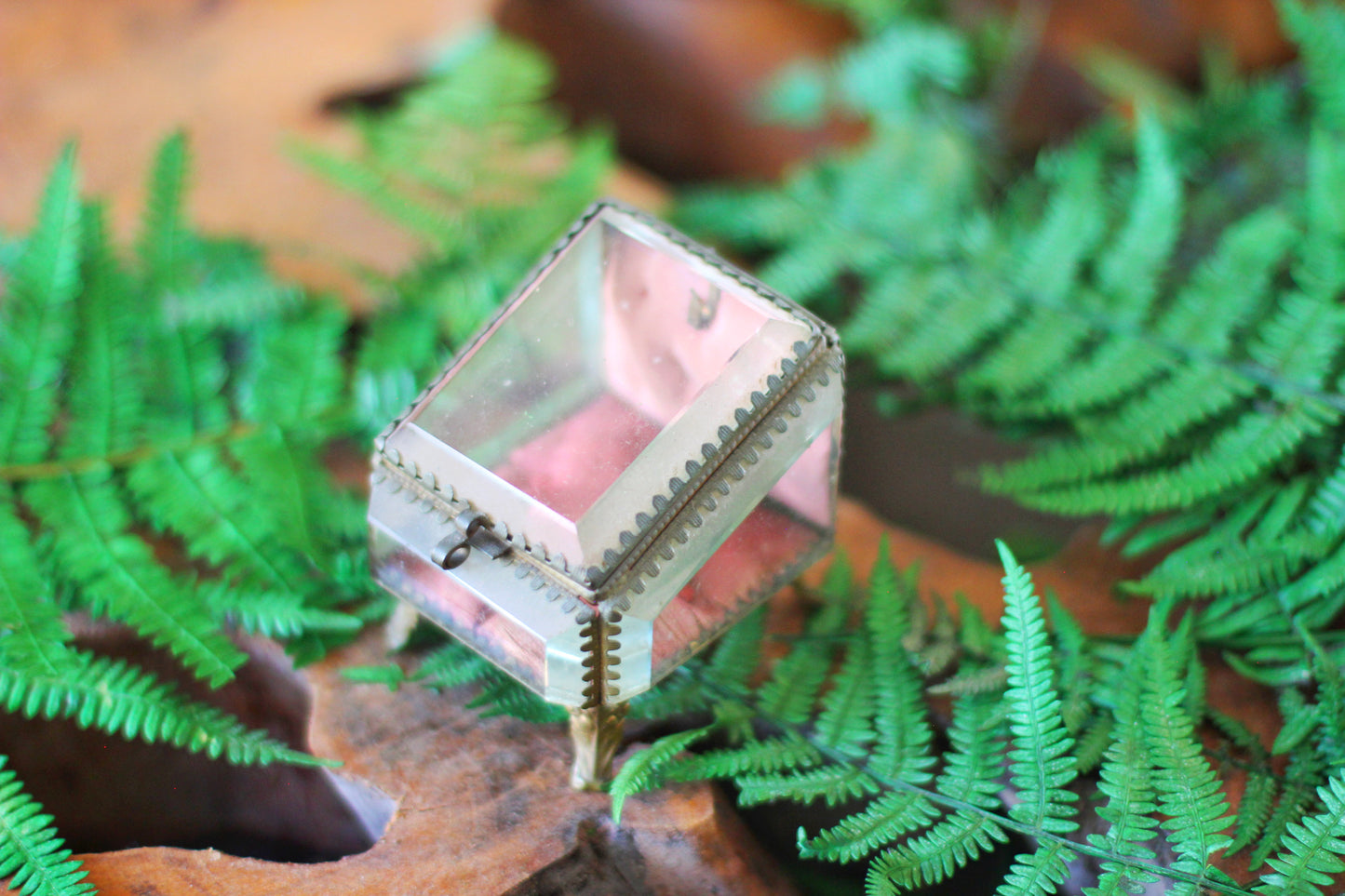 Antique French Watch Case Tufted Glass Jewelry Box