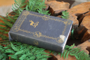 Antique Book The Nature Library Birds by Neltje Blanchan HC 1927 Illustrated