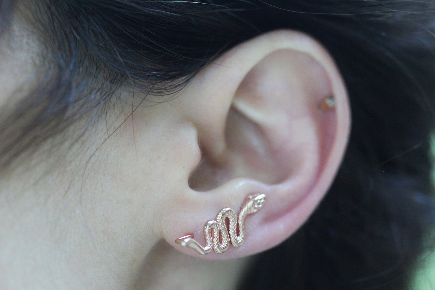 Preorder Tiny Snake Ear Climber