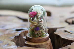 Small Dried Flowers Glass Dome / Cloche