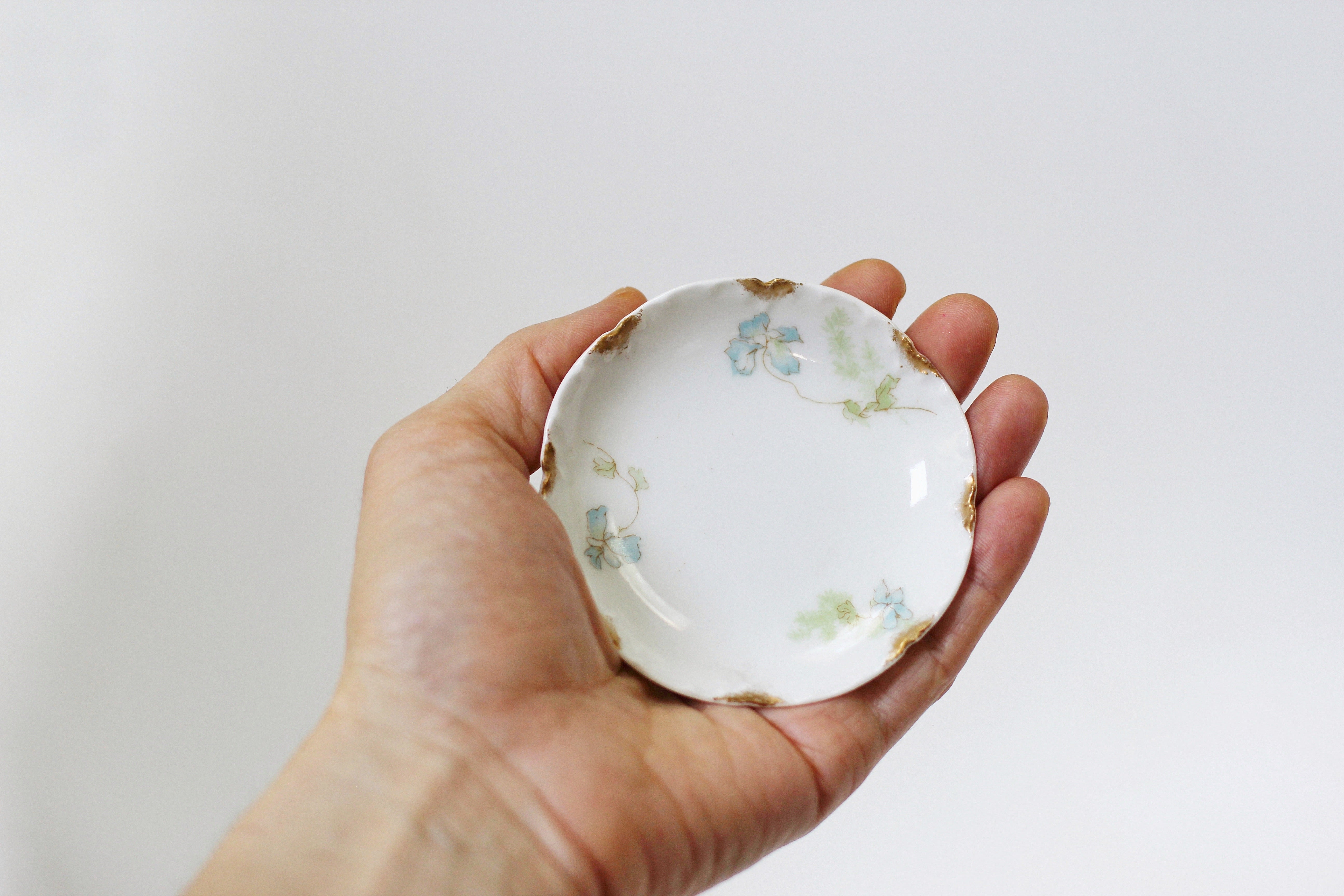 Limoges Haviland Floral Porcelain Dish