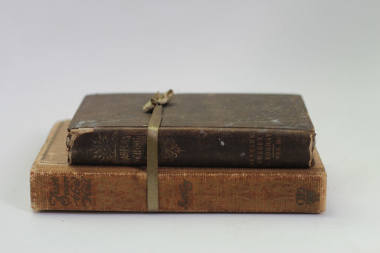 Two Antique Books Hardback Brown Colors